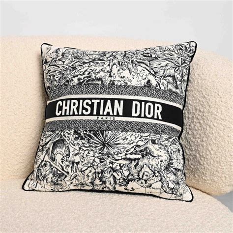 coussin dior pas cher|DIOR.